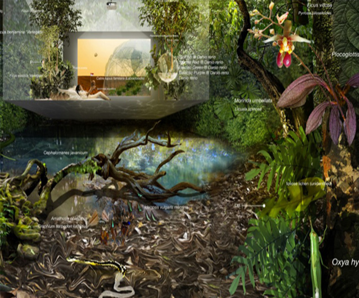 17th Venice Architeture Biennale